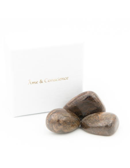 Bronzite