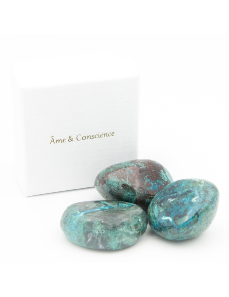 Chrysocolle