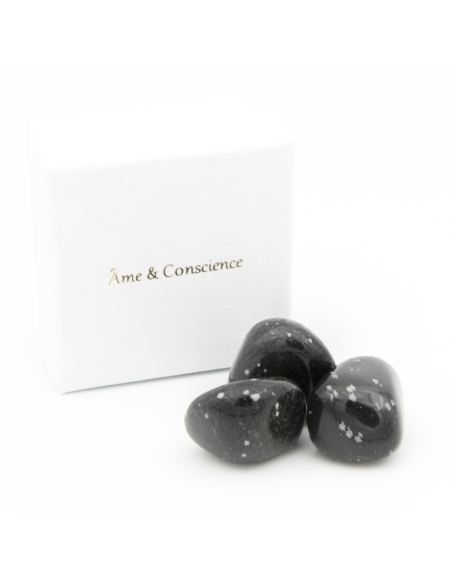 Obsidienne Flocon Neige
