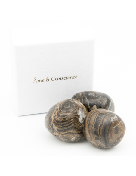 Stromatolite