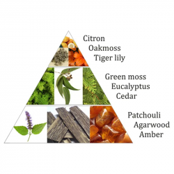 AROMAFUME Forest Dew 2