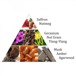 AROMAFUME Oriental Pearl 2