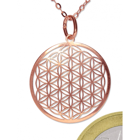 Fleur de vie avec chaine 50cm -...