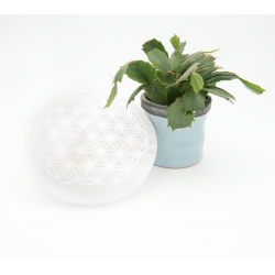 DISQUE SELENITE FLEUR DE VIE 14CM 2