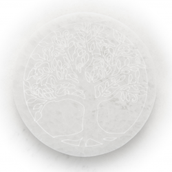 DISQUE SELENITE ARBRE DE VIE 14CM