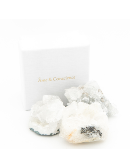 copy of