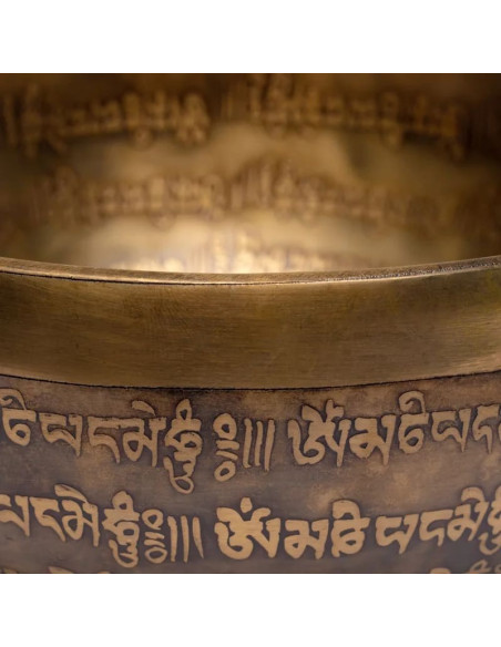 BOL CHANTANT TIBET GRAVE 1000-1150G 22X9
