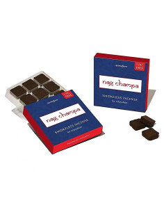 NAG CHAMPA BRIQUE AROMAFUME