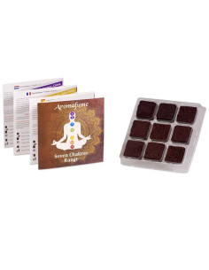 AROMAFUME BRIQUES D'ENCENS CHAKRA 6°CHAKRA -- 40G 2
