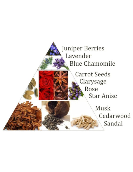 AROMAFUME BRIQUES D'ENCENS CHAKRA 6°CHAKRA -- 40G